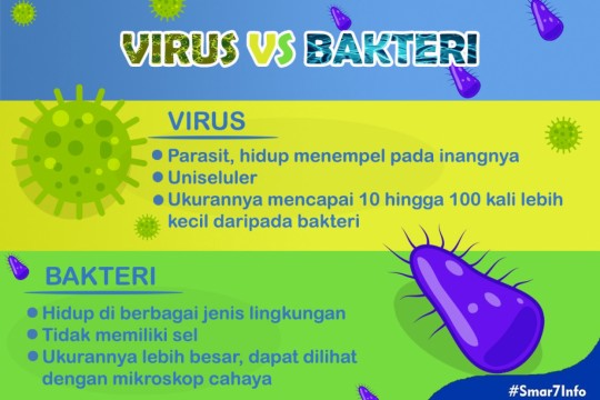 Apa Sih Bedanya Virus Dan Bakteri?