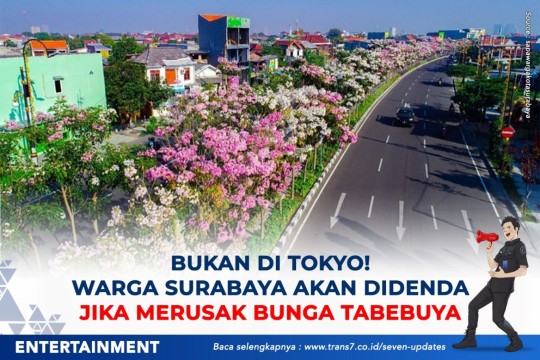 Bukan Di Tokyo! Warga Surabaya Akan Didenda Merusak Bunga Tabebuya