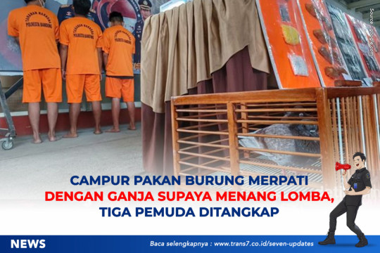 Campur Pakan Burung Merpati Dengan Ganja Supaya Menang Lomba, Tiga Pemuda Ditangkap