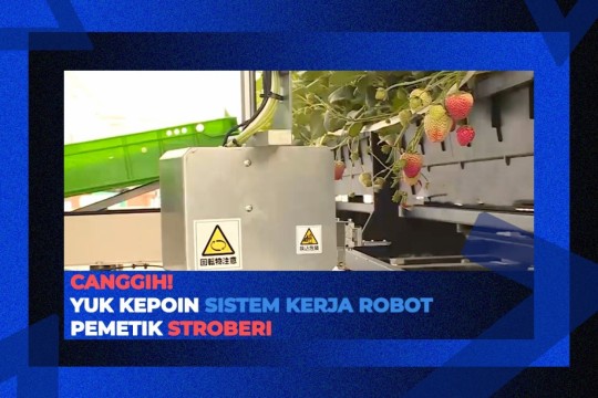 Canggih! Yuk Kepoin Sistem Kerja Robot Pemetik Stroberi