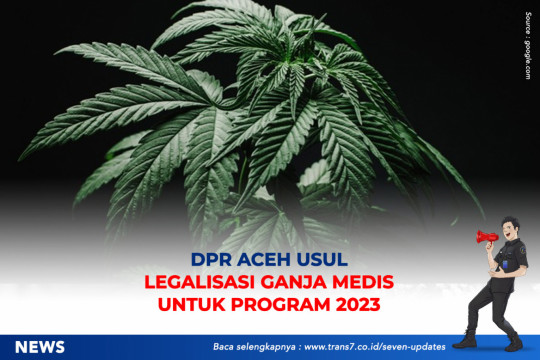 DPR Aceh Usul Legalisasi Ganja Medis Untuk Program 2023