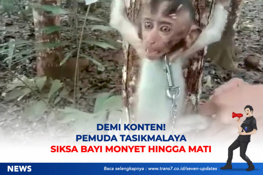 Demi Konten! Pemuda Tasikmalaya Siksa Bayi Monyet Hingga Mati