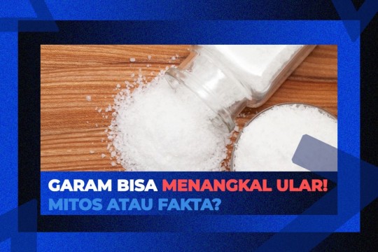 Garam Bisa Menangkal Ular! Mitos Atau Fakta?