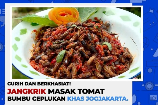 Gurih Dan Berkhasiat! Jangkrik Masak Tomat Bumbu Ceplukan Khas Yogyakarta