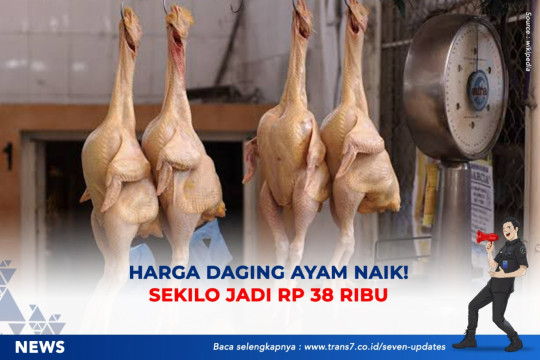 Harga Daging Ayam Naik! Sekilo Jadi Rp38 Ribu