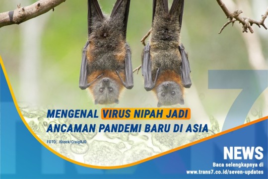 Hati-hati, Ini Virus Baru Nipah Di Asia!