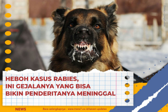 Heboh Kasus Rabies, Ini Gejalanya Yang Bisa Bikin Penderitanya Meninggal