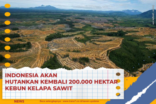 Indonesia Akan Hutankan Kembali 200.000 Hektar Kebun Kelapa Sawit