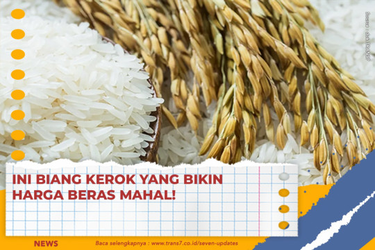 Ini Biang Kerok Yang Bikin Harga Beras Mahal!