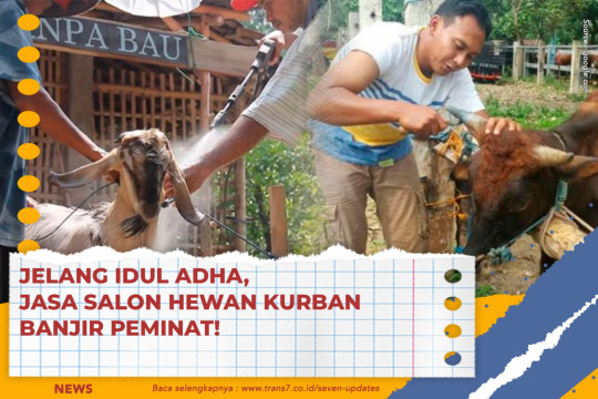 Jelang Idul Adha, Jasa Salon Hewan Kurban Banjir Peminat!