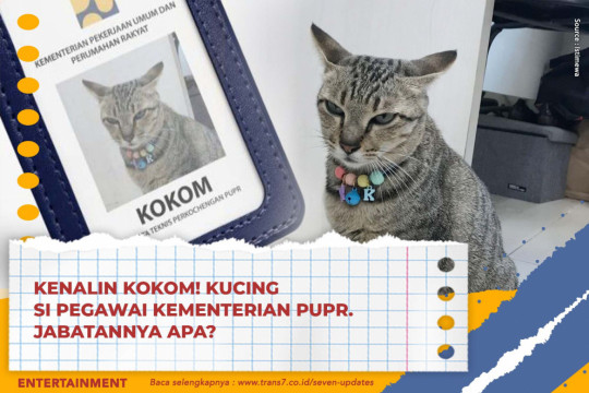 Kenalin Kokom! Kucing Si Pegawai Kementerian PUPR. Jabatannya Apa?