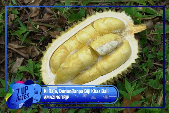 Ki Raja, Durian Tanpa Biji Khas Bali