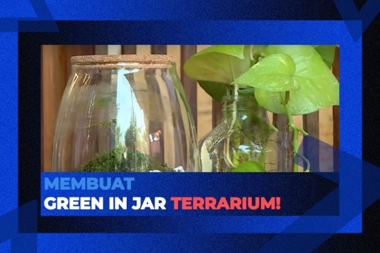 Membuat Green In Jar Terarrium!