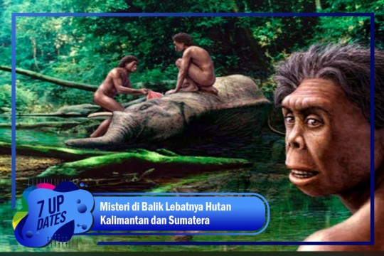 Misteri Di Balik Hutan Kalimantan Dan Sumatera