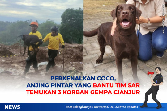 Perkenalkan Coco, Anjing Pintar Yang Bantu Tim SAR Temukan 3 Korban Gempa Cianjur