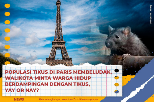 Populasi Tikus Di Paris Membeludak, Walikota Minta Warga Hidup Berdampingan Dengan Tikus, Yay Or Nay?