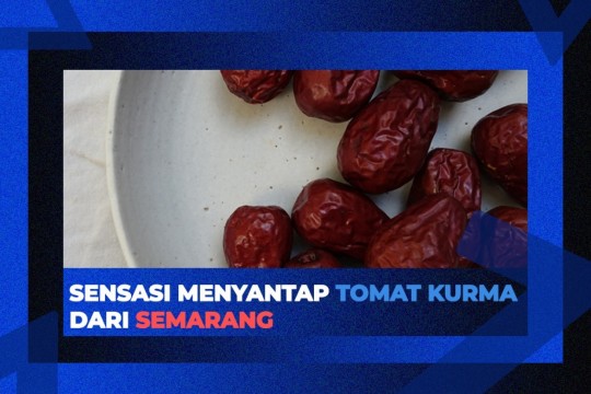 Sensasi Menyantap Tomat Kurma Dari Semarang