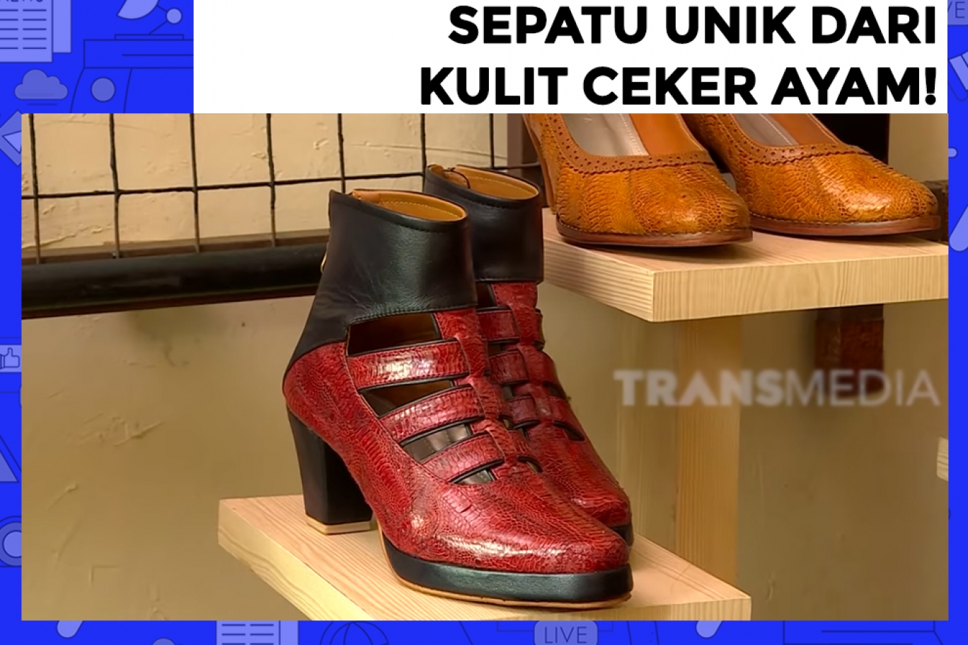 TRANS7 Sepatu  Unik Dari  Kulit  Ceker Ayam 