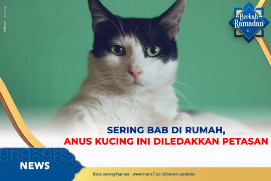 Sering BAB Di Rumah, Anus Kucing Ini Diledakkan Petasan