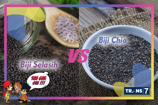 TAU GAK SIH - Biji Chia VS Biji Selasih