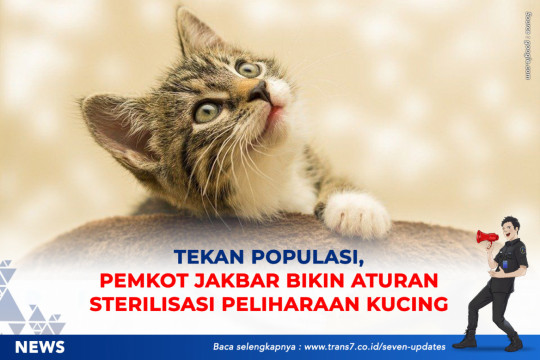 Tekan Populasi, Pemkot Jakbar Bikin Aturan Sterilisasi Peliharaan Kucing