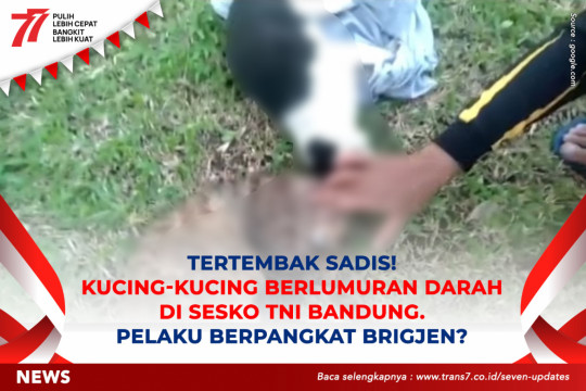 Tertembak Sadis! Kucing-kucing Berlumuran Darah Di Sesko TNI Bandung. Pelaku Berpangkat Brigjen?