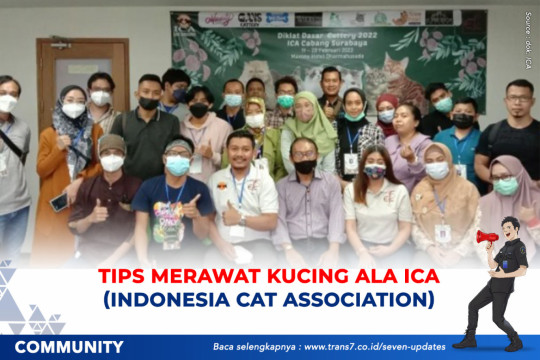 Tips Merawat Kucing Ala ICA (Indonesia Cat Assosiation)