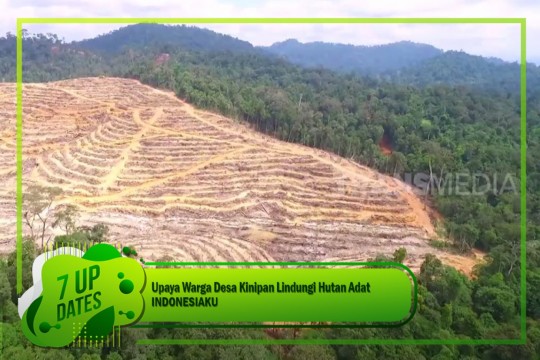 Upaya Warga Desa Kinipan Lindungi Hutan Adat