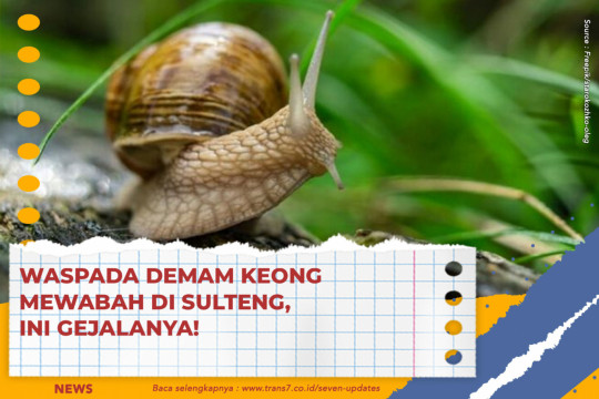 Waspada Demam Keong Mewabah Di Sulteng, Ini Gejalanya!