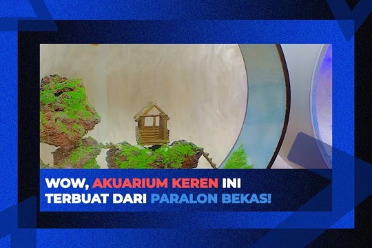 Wow, Akuarium Keren Dari Paralon Bekas!